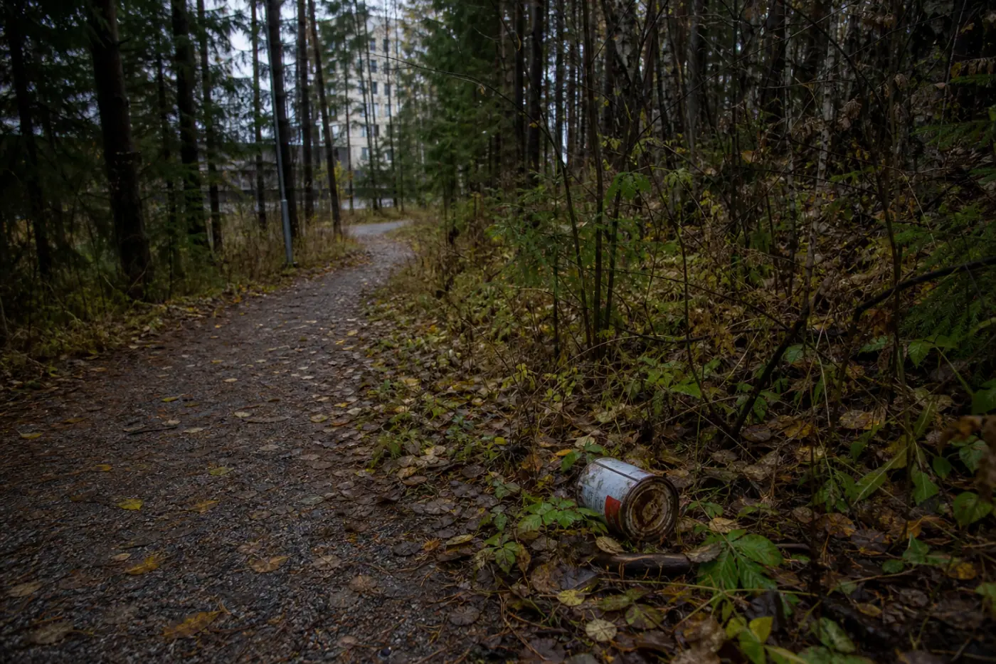 Metsäinen kävelypolku Hervannassa; polun reunalla näkyy pieni maahan jäänyt esine.