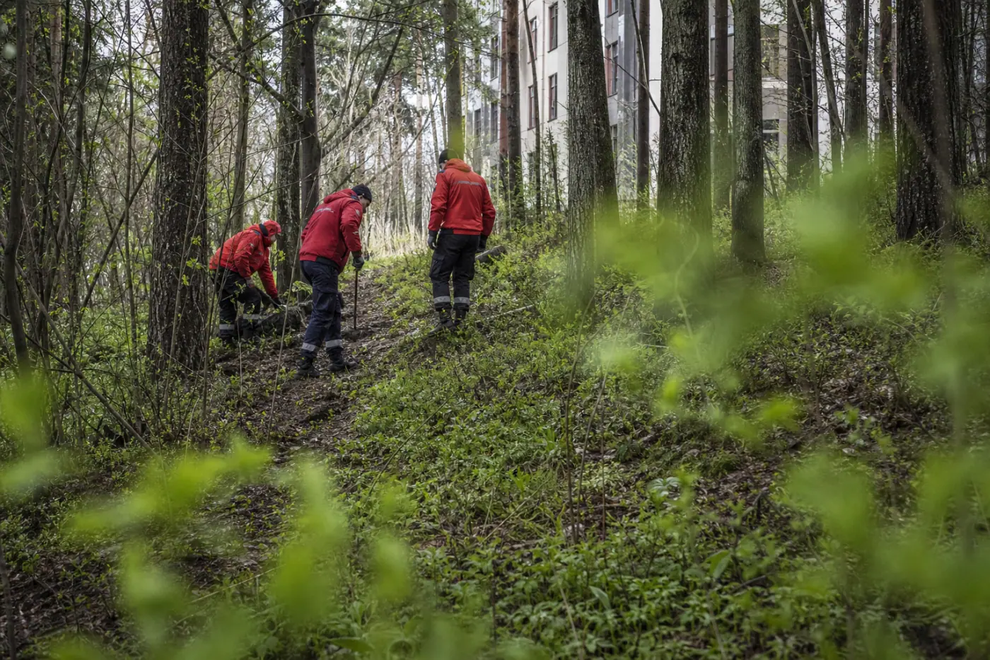 Metsäinen ulkoilupolku Hervannassa ja punatakkisia työntekijöitä tutkimassa maastoa.