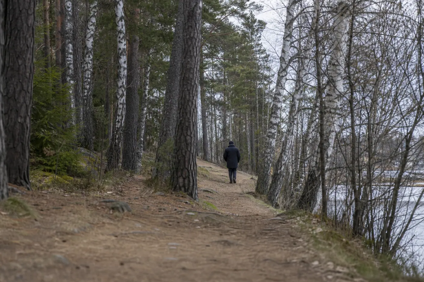 Kaupunkialueen lähellä kulkeva metsäpolku, jolla selin näkyvä henkilö kävelee rauhallisesti.